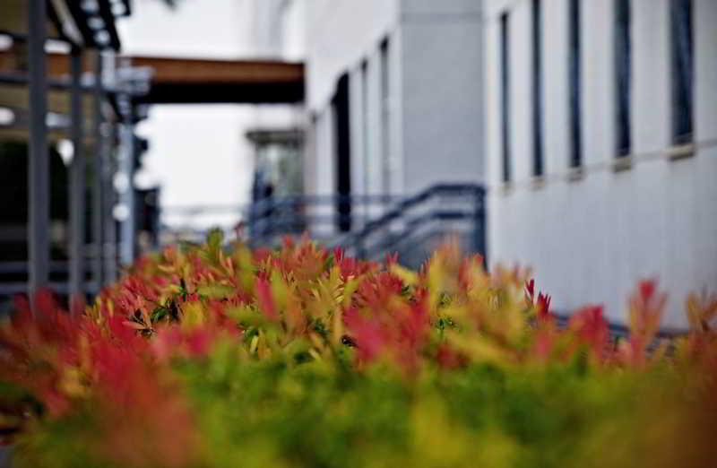 Apartamentos Vértice Sevilla Aljarafe Bormujos Bagian luar foto